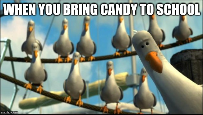 Nemo Seagulls Mine | WHEN YOU BRING CANDY TO SCHOOL | image tagged in nemo seagulls mine | made w/ Imgflip meme maker