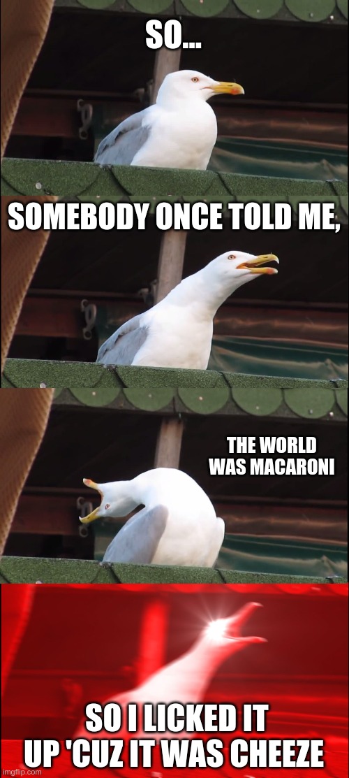 Inhaling Seagull Meme | SO... SOMEBODY ONCE TOLD ME, THE WORLD WAS MACARONI; SO I LICKED IT UP 'CUZ IT WAS CHEEZE | image tagged in memes,inhaling seagull | made w/ Imgflip meme maker