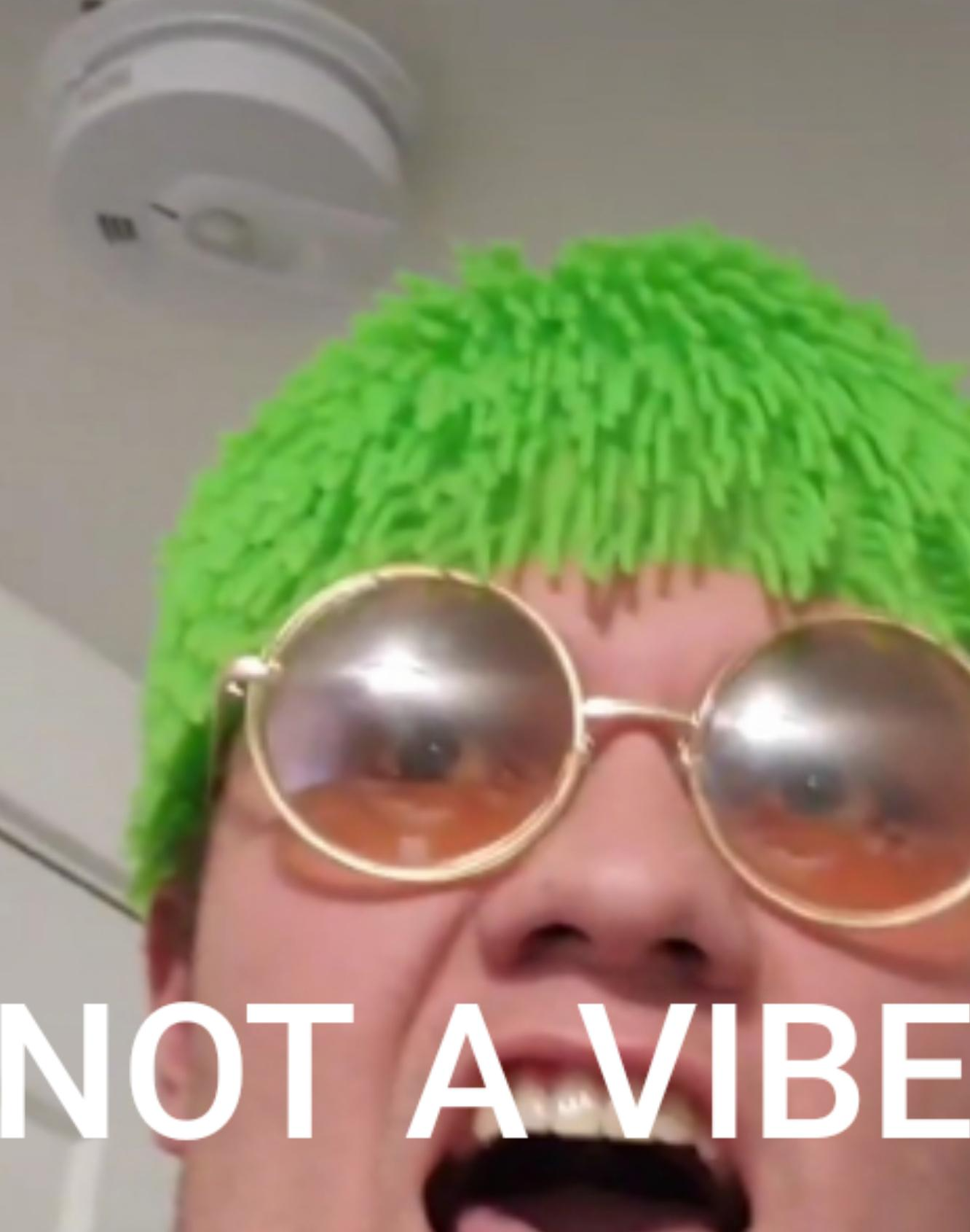 YOU ARE NOT A VIBE Blank Meme Template