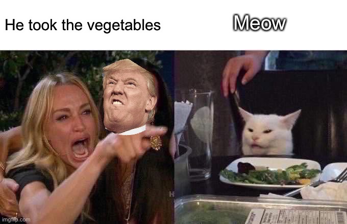 Woman Yelling At Cat Meme | Meow; He took the vegetables | image tagged in memes,woman yelling at cat | made w/ Imgflip meme maker