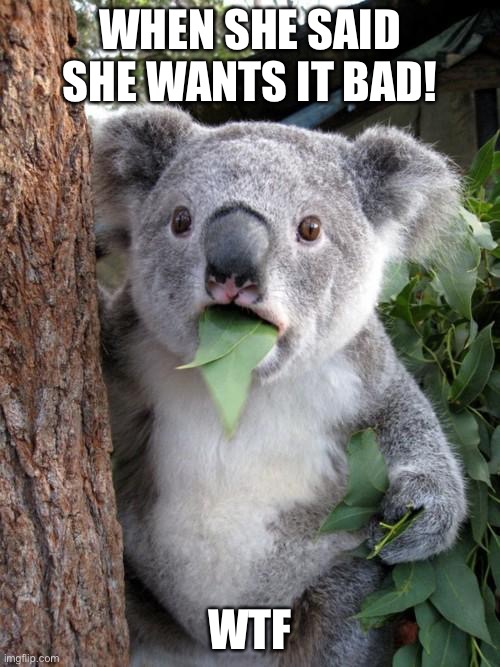 Surprised Koala | WHEN SHE SAID SHE WANTS IT BAD! WTF | image tagged in memes,surprised koala | made w/ Imgflip meme maker