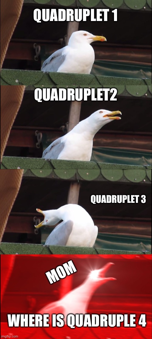 Inhaling Seagull | QUADRUPLET 1; QUADRUPLET2; QUADRUPLET 3; MOM; WHERE IS QUADRUPLE 4 | image tagged in memes,inhaling seagull | made w/ Imgflip meme maker