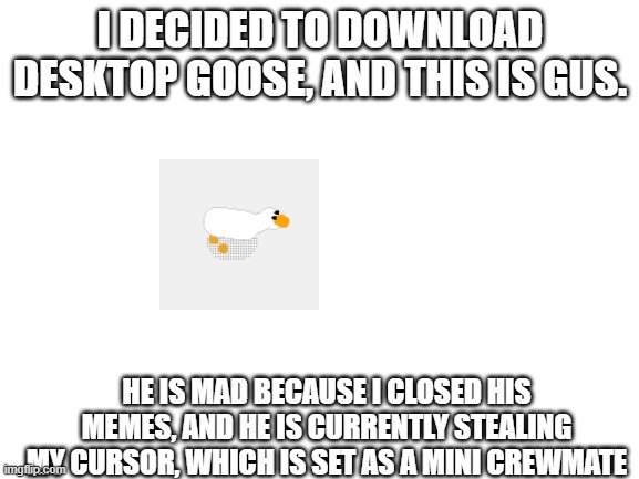 link in comments | I DECIDED TO DOWNLOAD DESKTOP GOOSE, AND THIS IS GUS. HE IS MAD BECAUSE I CLOSED HIS MEMES, AND HE IS CURRENTLY STEALING MY CURSOR, WHICH IS SET AS A MINI CREWMATE | image tagged in blank white template | made w/ Imgflip meme maker