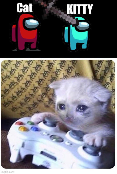 Sad cat Xbox | KITTY; Cat | image tagged in sad cat xbox | made w/ Imgflip meme maker