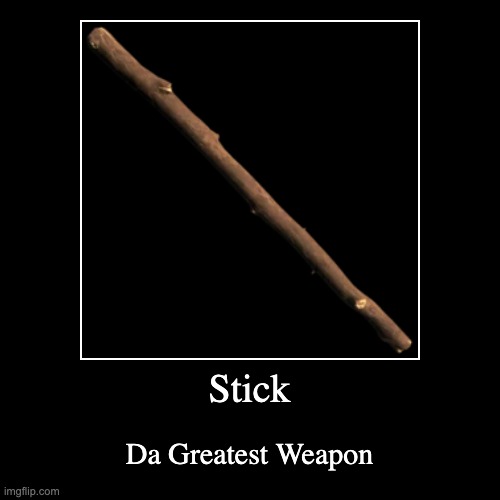 Stick. (its a stick) | image tagged in funny,demotivationals | made w/ Imgflip demotivational maker