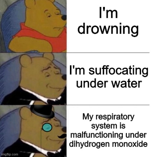 Sorry this is the furthest I could think | I'm drowning; I'm suffocating under water; My respiratory system is malfunctioning under dihydrogen monoxide | image tagged in tuxedo winnie the pooh 3 panel | made w/ Imgflip meme maker
