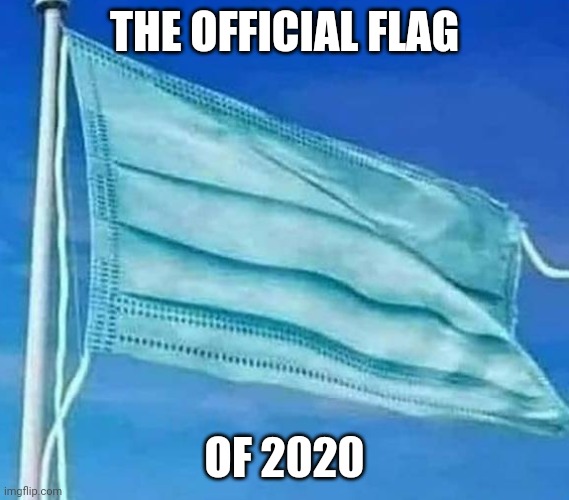 Tell me I'm wrong | THE OFFICIAL FLAG; OF 2020 | image tagged in mask,flag | made w/ Imgflip meme maker