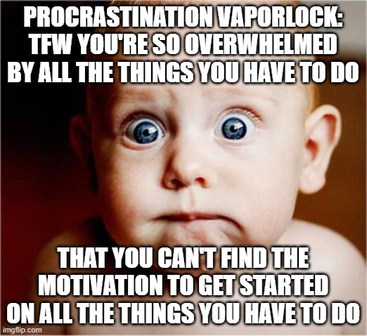 Vaporlock | PROCRASTINATION VAPORLOCK: TFW YOU'RE SO OVERWHELMED BY ALL THE THINGS YOU HAVE TO DO; THAT YOU CAN'T FIND THE MOTIVATION TO GET STARTED ON ALL THE THINGS YOU HAVE TO DO | image tagged in anxious baby,memes,work,stressed out | made w/ Imgflip meme maker