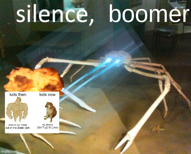SILENCE | boomer | image tagged in silence crab | made w/ Imgflip meme maker