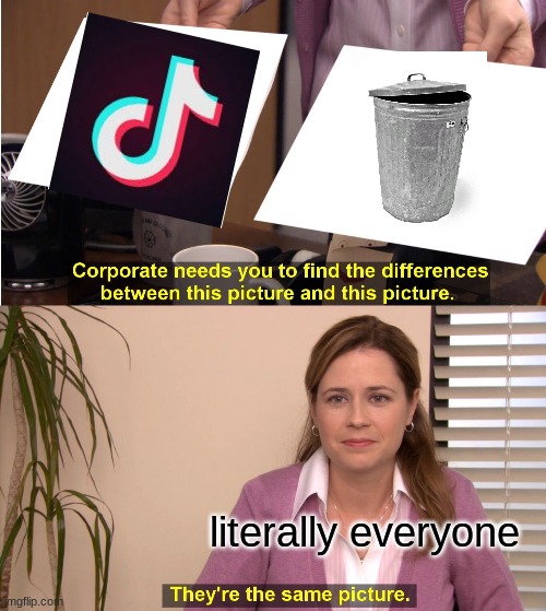 They're The Same Picture Meme | literally everyone | image tagged in memes,they're the same picture | made w/ Imgflip meme maker