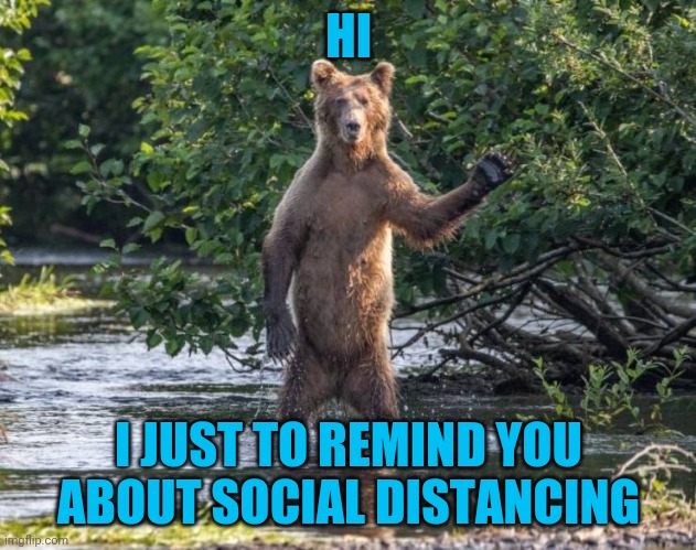 Bear truth about keeping your distance | HI; I JUST TO REMIND YOU ABOUT SOCIAL DISTANCING | image tagged in social distancing,bear | made w/ Imgflip meme maker