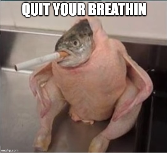 quit your breathin | QUIT YOUR BREATHIN | image tagged in fish | made w/ Imgflip meme maker