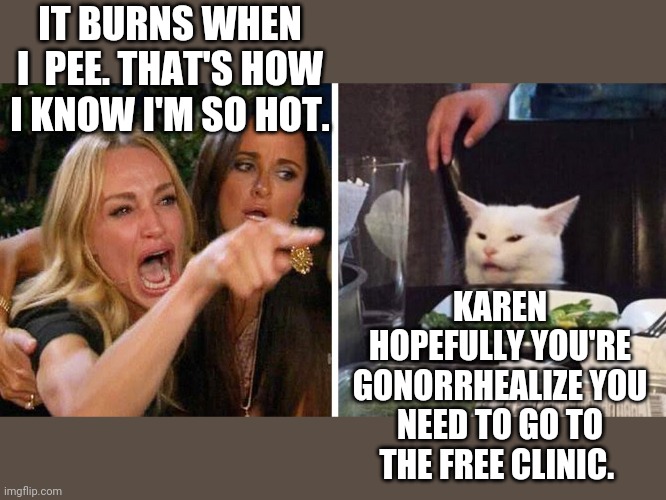 Smudge the cat | IT BURNS WHEN I  PEE. THAT'S HOW I KNOW I'M SO HOT. KAREN HOPEFULLY YOU'RE GONORRHEALIZE YOU NEED TO GO TO THE FREE CLINIC. | image tagged in smudge the cat | made w/ Imgflip meme maker