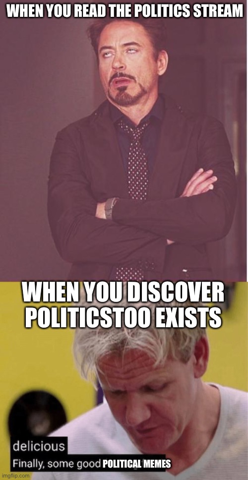 I’m sure everyone here can relate to this. | WHEN YOU READ THE POLITICS STREAM; WHEN YOU DISCOVER POLITICSTOO EXISTS; POLITICAL MEMES | image tagged in memes,face you make robert downey jr,delicious finally some good,politics,vote democrat | made w/ Imgflip meme maker