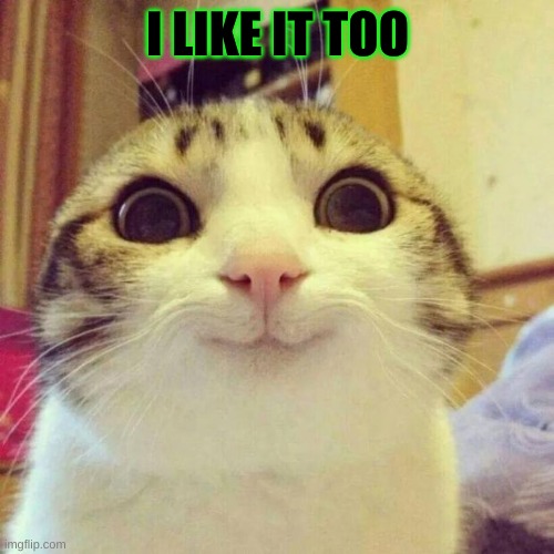 Smiling Cat Meme | I LIKE IT TOO | image tagged in memes,smiling cat | made w/ Imgflip meme maker