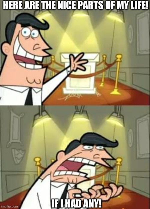 truth. | HERE ARE THE NICE PARTS OF MY LIFE! IF I HAD ANY! | image tagged in memes,this is where i'd put my trophy if i had one,funny,relatable | made w/ Imgflip meme maker