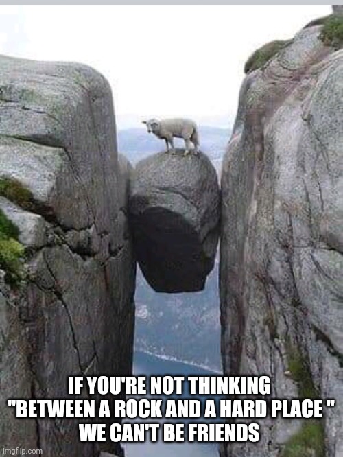 Poor decisions | IF YOU'RE NOT THINKING 
"BETWEEN A ROCK AND A HARD PLACE "
WE CAN'T BE FRIENDS | image tagged in funny memes | made w/ Imgflip meme maker