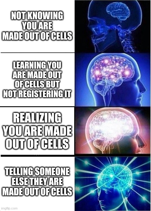 Expanding Brain | NOT KNOWING YOU ARE MADE OUT OF CELLS; LEARNING YOU ARE MADE OUT OF CELLS BUT NOT REGISTERING IT; REALIZING YOU ARE MADE OUT OF CELLS; TELLING SOMEONE ELSE THEY ARE MADE OUT OF CELLS | image tagged in memes,expanding brain | made w/ Imgflip meme maker