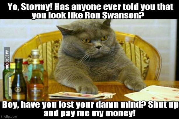 RON SWANSON!!! | image tagged in grumpy cat | made w/ Imgflip meme maker