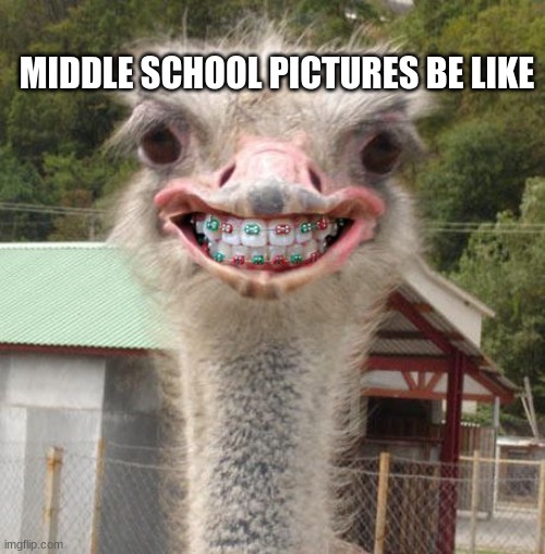 this is legit what i looked like in middle school | MIDDLE SCHOOL PICTURES BE LIKE | image tagged in middle school,funny memes | made w/ Imgflip meme maker