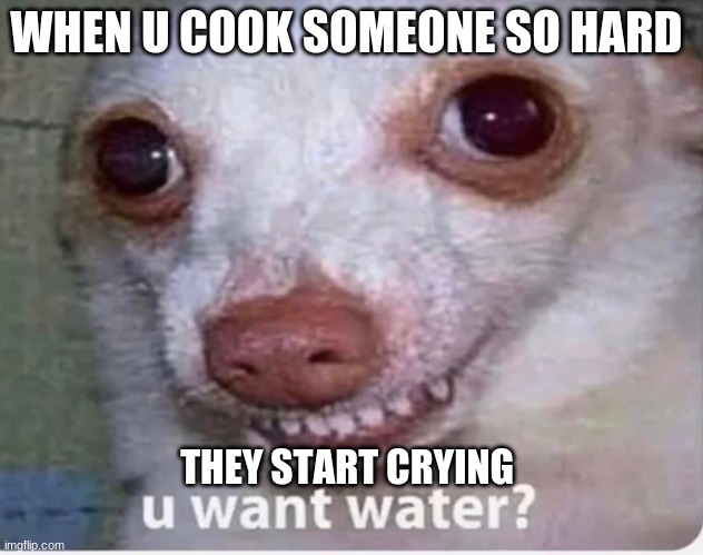 u want water? | WHEN U COOK SOMEONE SO HARD; THEY START CRYING | image tagged in u want water | made w/ Imgflip meme maker