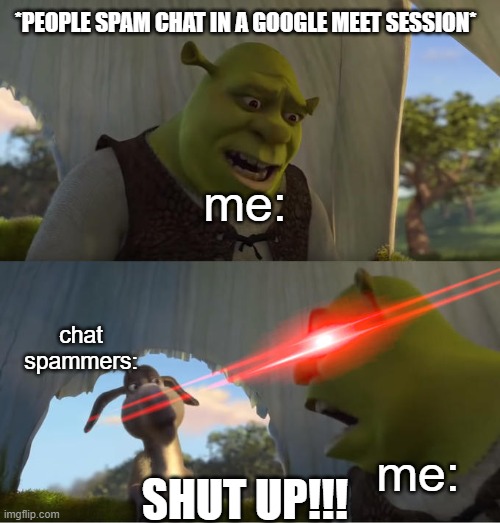 my god its annoying | *PEOPLE SPAM CHAT IN A GOOGLE MEET SESSION*; me:; chat spammers:; SHUT UP!!! me: | image tagged in shrek for five minutes | made w/ Imgflip meme maker