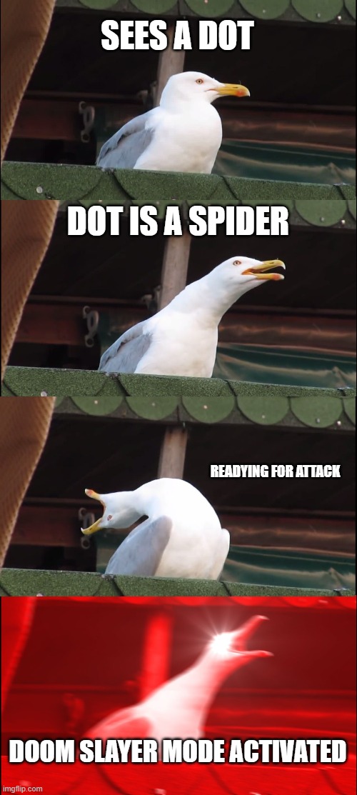 Spoder | SEES A DOT; DOT IS A SPIDER; READYING FOR ATTACK; DOOM SLAYER MODE ACTIVATED | image tagged in memes,inhaling seagull | made w/ Imgflip meme maker