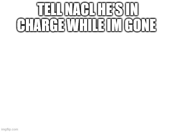 tell NaCL he's in charge | TELL NACL HE'S IN CHARGE WHILE IM GONE | image tagged in blank white template | made w/ Imgflip meme maker
