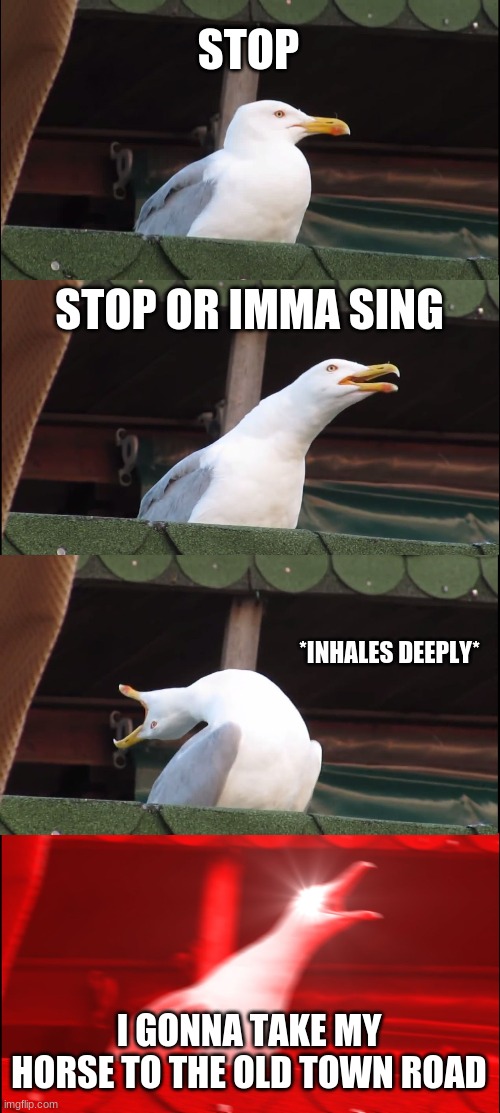 Inhaling Seagull Meme | STOP; STOP OR IMMA SING; *INHALES DEEPLY*; I GONNA TAKE MY HORSE TO THE OLD TOWN ROAD | image tagged in memes,inhaling seagull | made w/ Imgflip meme maker