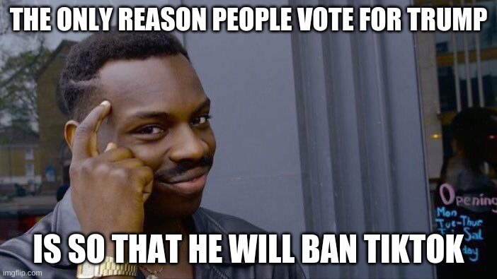 Roll Safe Think About It Meme | THE ONLY REASON PEOPLE VOTE FOR TRUMP; IS SO THAT HE WILL BAN TIKTOK | image tagged in memes,roll safe think about it | made w/ Imgflip meme maker