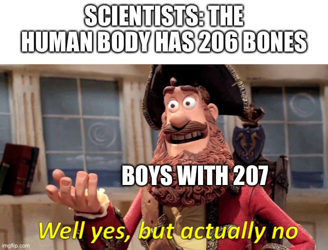 Well yes, but actually no | SCIENTISTS: THE HUMAN BODY HAS 206 BONES; BOYS WITH 207 | image tagged in well yes but actually no | made w/ Imgflip meme maker