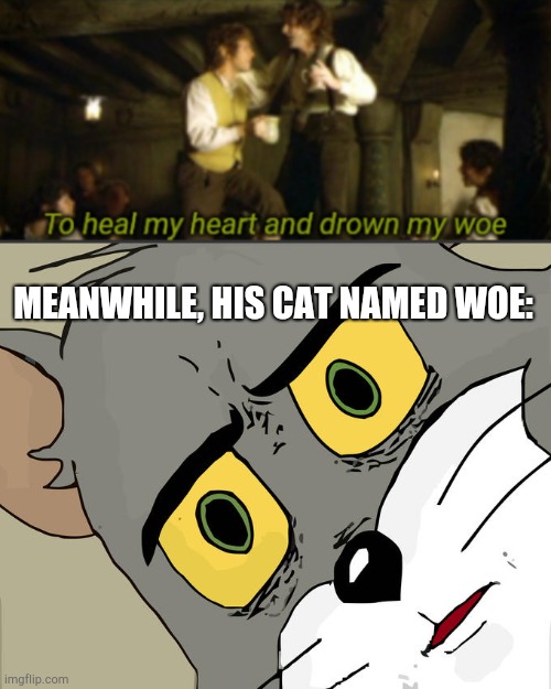 Woe is he... | MEANWHILE, HIS CAT NAMED WOE: | image tagged in memes,unsettled tom,to heal my heart and drown my woe | made w/ Imgflip meme maker