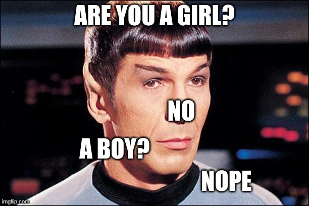 Condescending Spock | ARE YOU A GIRL? NO; A BOY? NOPE | image tagged in condescending spock | made w/ Imgflip meme maker