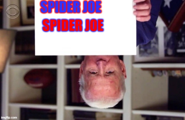 SPIDER JOE | SPIDER JOE; SPIDER JOE | image tagged in donald trump approves | made w/ Imgflip meme maker