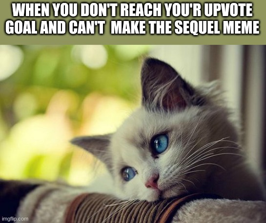 no more  (more cats memes) | WHEN YOU DON'T REACH YOU'R UPVOTE GOAL AND CAN'T  MAKE THE SEQUEL MEME | image tagged in memes,first world problems cat | made w/ Imgflip meme maker