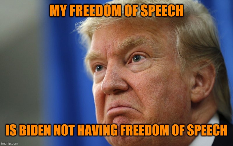 Mad Trump | MY FREEDOM OF SPEECH IS BIDEN NOT HAVING FREEDOM OF SPEECH | image tagged in mad trump | made w/ Imgflip meme maker