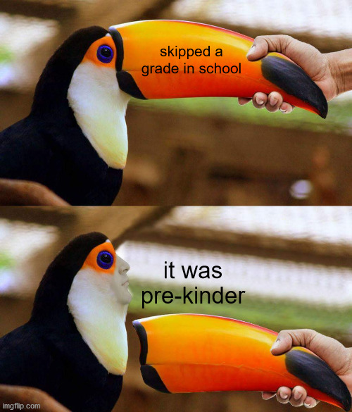 Toucan Beak | skipped a grade in school; it was pre-kinder | image tagged in toucan beak | made w/ Imgflip meme maker