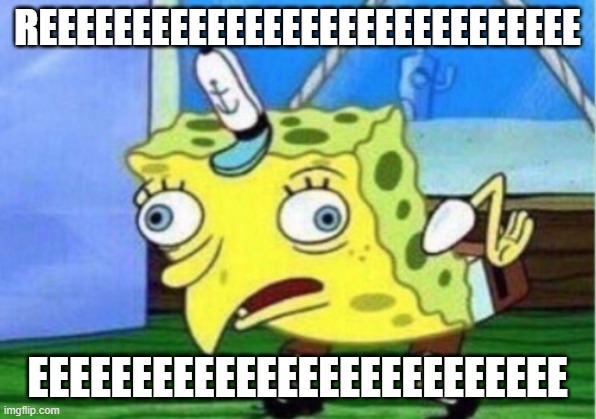 REE | REEEEEEEEEEEEEEEEEEEEEEEEEEEEE; EEEEEEEEEEEEEEEEEEEEEEEEEE | image tagged in memes,mocking spongebob | made w/ Imgflip meme maker