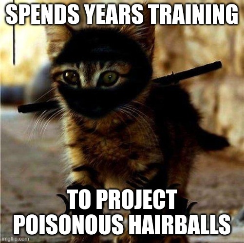 The Way of the Ninjat 8 | SPENDS YEARS TRAINING; TO PROJECT POISONOUS HAIRBALLS | image tagged in ninja cat | made w/ Imgflip meme maker