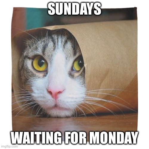 You On Sundays | SUNDAYS; WAITING FOR MONDAY | image tagged in sunday,monday | made w/ Imgflip meme maker
