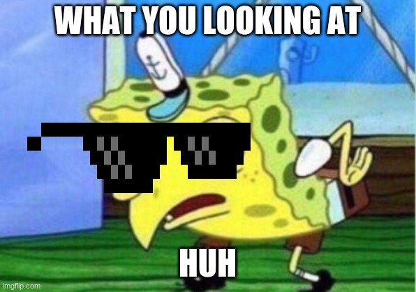 What are you looking at huh | WHAT YOU LOOKING AT; HUH | image tagged in memes,mocking spongebob | made w/ Imgflip meme maker