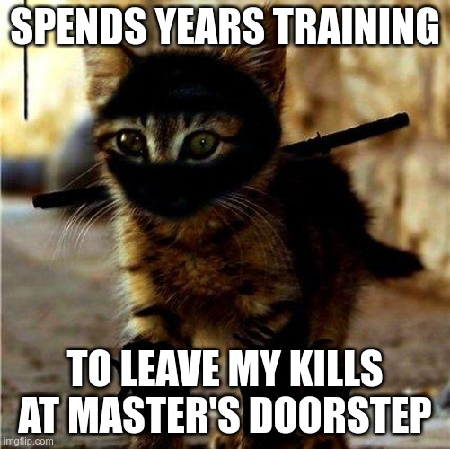 The Way of the Ninjat 9 | SPENDS YEARS TRAINING; TO LEAVE MY KILLS AT MASTER'S DOORSTEP | image tagged in ninja cat | made w/ Imgflip meme maker