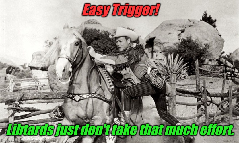 Triggered | Easy Trigger! Libtards just don't take that much effort. | image tagged in triggered | made w/ Imgflip meme maker