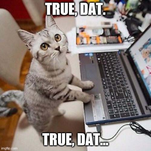 Computer Cat | TRUE, DAT. TRUE, DAT... | image tagged in computer cat | made w/ Imgflip meme maker