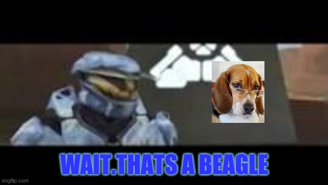 hee hee meme | WAIT.THATS A BEAGLE | image tagged in wait that's illegal | made w/ Imgflip meme maker