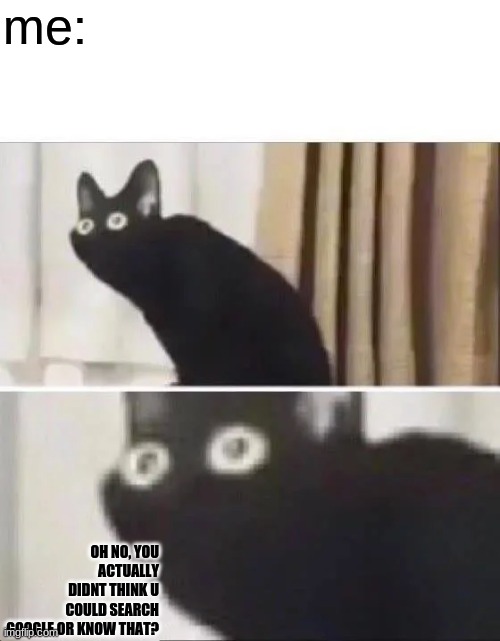 Oh No Black Cat | me: OH NO, YOU ACTUALLY DIDNT THINK U COULD SEARCH GOOGLE OR KNOW THAT? | image tagged in oh no black cat | made w/ Imgflip meme maker