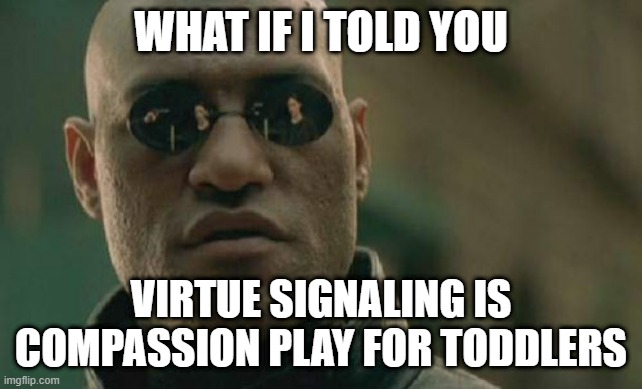 Matrix Morpheus Meme | WHAT IF I TOLD YOU; VIRTUE SIGNALING IS COMPASSION PLAY FOR TODDLERS | image tagged in memes,matrix morpheus | made w/ Imgflip meme maker