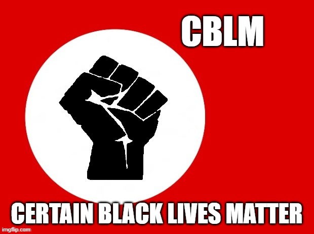 blm the orginization only cares about people who support them, not black officers or black trump supporters | CBLM; CERTAIN BLACK LIVES MATTER | image tagged in black lives matter,cblm,blm,alm | made w/ Imgflip meme maker