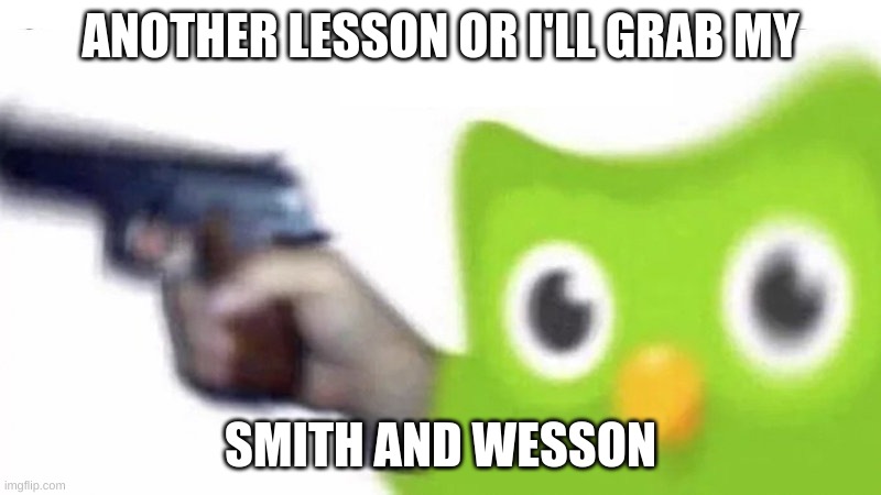duolingo gun | ANOTHER LESSON OR I'LL GRAB MY; SMITH AND WESSON | image tagged in duolingo gun | made w/ Imgflip meme maker