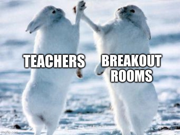 Best friends | BREAKOUT ROOMS; TEACHERS | image tagged in best friends | made w/ Imgflip meme maker